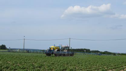 Een goede IPM-strategie begint bij het vermijden van ziekten, plagen en onkruiden.