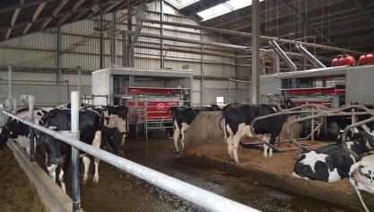 De export van land- en tuinbouwproducten van Nederland naar België nam in 2025 toetot 17,1 miljard euro.