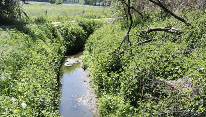 Niet elk land pakt de nutriëntenvervuiling op dezelfde manier aan.