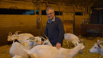Renaat Devreese: Zeolieten zijn geen wonderoplossing, maar hebben een duidelijk positief effect op verschillende punten van de bedrijfsvoering.