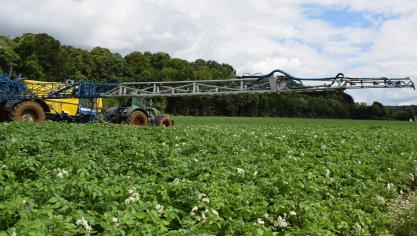Het risico van het gebruik van gewasbeschermingsmiddelen voor de menselijke gezondheid en het milieu tijdens de periode 2011-2023 blijkt met 56% te zijn afgenomen.
