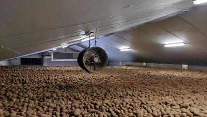 De Belgapomprijs wijzigde niet op 30 januari.