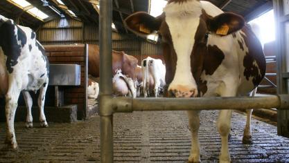 In bepaalde gevallen kan je een afwijking kan aanvragen op de berekeningsmethode van de referentiesituatie 2021.