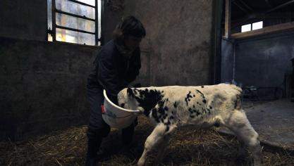 Boeren kampen vaker dan vele andere beroepsgroepen met isolement en eenzaamheid.