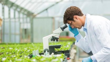 AI speelt een structurele rol in de manier waarop Syngenta wordt aangestuurd.