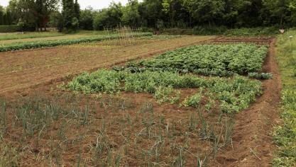 Een doordacht grondenbeleid vraagt volgens Wervel tijd, visie en samenwerking.