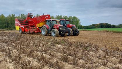 Vorig jaar werden er door het  Landbouwcentrum Aardappelen  maar liefst 9 nieuwe frietrassen  beproefd.