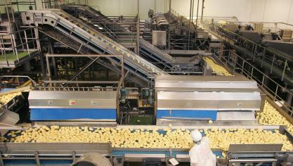 Onder de waterlijn is bij de Belgische aardappelverwerkers ook wel wat gebeurd, bemerkt Christophe Vermeulen.