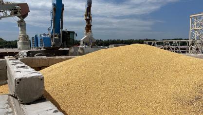 De maïsexport van Oekraïne loopt door alle oorlogsperikelen nog steeds heel stroef.