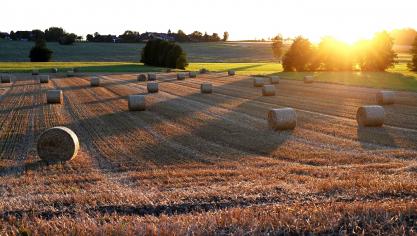 De Europese Rekenkamer stelt dat landbouwinnovatie voldoende voedingsbodem in de EU mist.