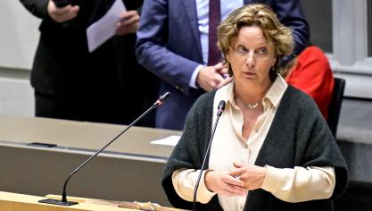 Volgens Mieke Schauvliege (Groen) is er geen enkele garantie dat de advieskwaliteit zal verbeteren door de besparingsoefening.