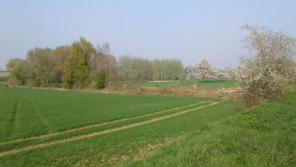Volgens het rapport baart de achteruitgang van onze Vlaamse natuur het meest zorgen buiten de beschermde gebieden en vooral in agrarisch gebied.