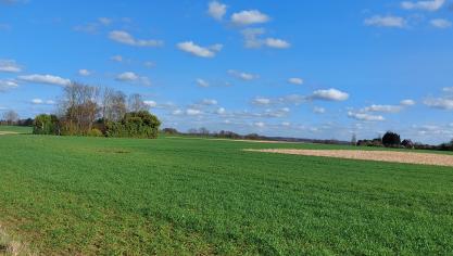 De eerste graanziekten werden vastgesteld in het veld, maar behandelen is vooralsnog niet aan de orde.