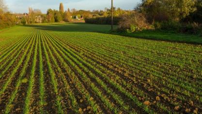 Volgens BioForum kan kiezen voor meer biologische landbouw enkele crises counteren.