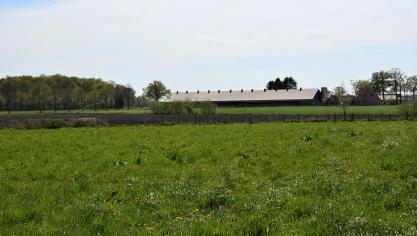Schattingen wijzen erop dat 10% van de varkensbedrijven in Vlaanderen zich in een situatie van structurele onhaalbaarheid bevinden.