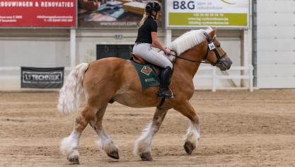 Hopper van Stoeterij Diepensteyn had de eer om het voorprogramma in te rijden.