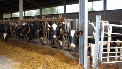 Stefaan Sintobin stelt zich vragen bij de verhouding tussen het dalende aantal landbouwers en het  stijgende aantal landbouwambtenaren.
