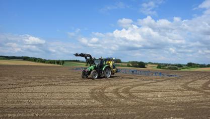 Nu de uitzaai van bieten hernomen is, moet er ook aandacht zijn voor de onkruidbestrijding.