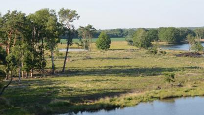 Voor het Turnhouts Vennengebied blijft er nog een doelafstand voor 2030 bestaan.
