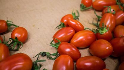 Gewasbeschermingsmiddelen blijven onder controle, ook bij ons en dus ook bij snoepgroenten.