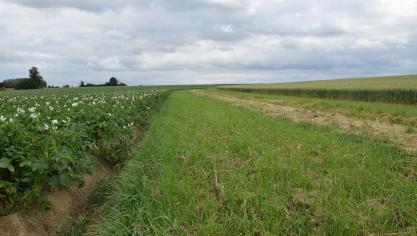 De bevraging over beschermingsstroken toonde aan dat er nog belangrijke knelpunten zijn.