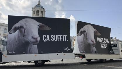 GAIA voerde al meermaals actie tegen het onverdoofd slachten van dieren.