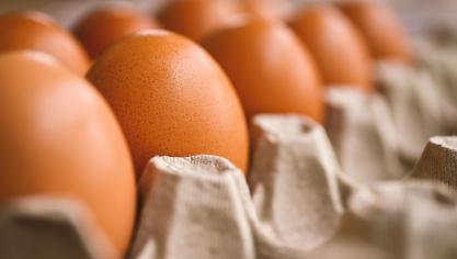 De impact van de stijgende import van eieren uit Oekraïne op de Vlaamse eiermarkt blijft voorlopig beperkt.