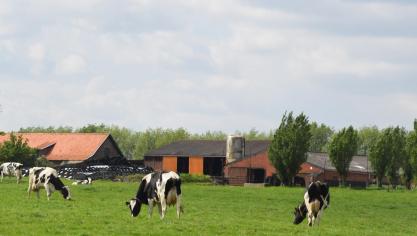 In de komende weken en maanden worden de facturen voor de inning van de verplichte bijdragen voor het Sanitair Fonds verzonden.