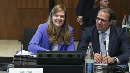 De Belgische ministers van Landbouw steunen het principe van een glijdende schaal en de plafonnering van de hectarepremie, mits extra flexibiliteit.