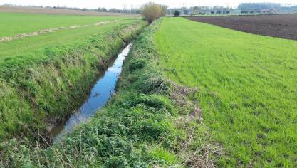 Er komen bijkomende bufferstroken langs waterlopen in gebieden waar problemen met het drinkwater optreden.