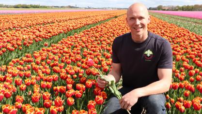 Bloembollenteler Bernd Wuestenenk toont ons de ‘Angela Merkel’-tulp.