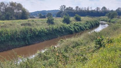 Recent werd werd onder meer de natuur versterkt langs de Demer .