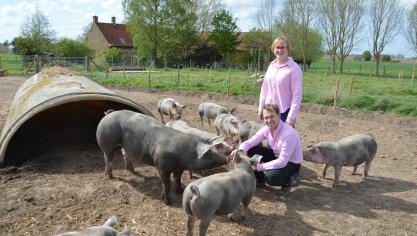 Dries Dewulf en Lies Debaillie hebben een bedrijfsmodel opgezet waarbij  alle varkens volledig via de korte keten worden afgezet.