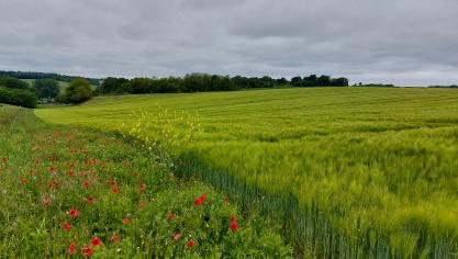 De verzamelaanvraag kan nog tot uiterlijk 31 mei gewijzigd worden.