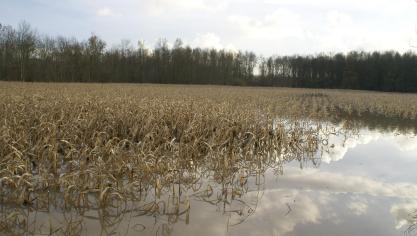 Uit recent onderzoek blijkt dat geconcentreerde regenval nefaster is voor de bodem.