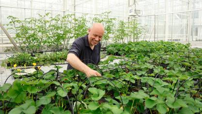 Onderzoekers kunnen in het complex gewassen zoals aardbei, banaan, peer en witloof onder gecontroleerde omstandigheden bestuderen.