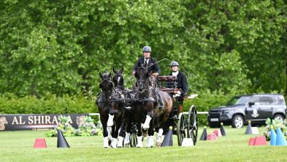 Dries Degrieck en co zegevierden in de wereldbeker vierspan in Windsor.