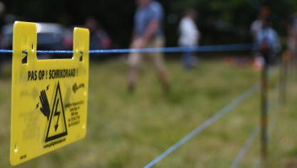 ANB keurde vorig jaar 91 subsidieaanvragen goed voor het plaatsen van een wolfwerende afsluiting.