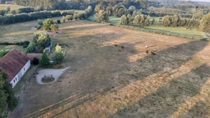 Landbouwers moeten volgens minister Brouns andere landbouwers zoeken om hun landbouw-activiteiten over te nemen wanneer er geen familiale opvolgers zijn.