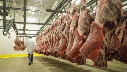 Het exportquotum voor rundvlees was in bijna 4 dagen volledig opgebruikt.