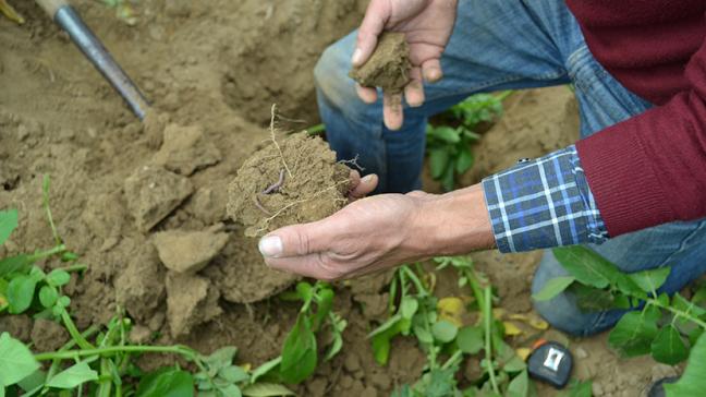 Landbouwers hebben door hun handeling op de bodem ook een verantwoordelijkheid ten opzichte van de bodem. ©Provincie Vlaams-Brabant