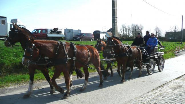 Eénentwintig koetsen waren present te Wortegem.