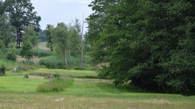 Ook het omgekeerde, de omzetting van natuur naar landbouw vond plaats, zij het in veel minder mate.