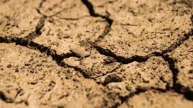 De Commissie dringt er bij de lidstaten op aan om de meest actuele informatie over de droogte door te sturen.