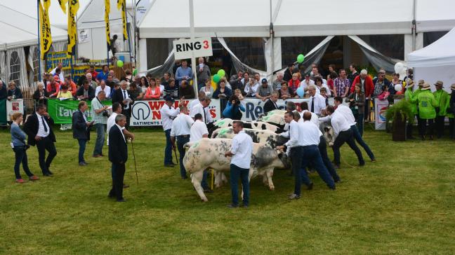 De veeprijskampen bieden een mooi uitstalraam voor wat de rundveehouderij in Wallonië te bieden heeft.