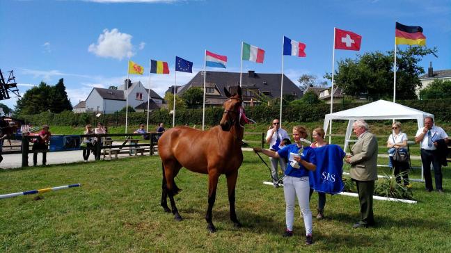 Winnares van de proef driejarige sportpaarden in Libramont : de merrie Idyllis du Frech Try