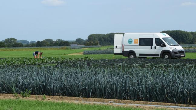 Voor het tuinbouwgedeelte op de Werktuigendagen wordt samengewerkt met het PCG voor aanleg en onderhoud van de velden.