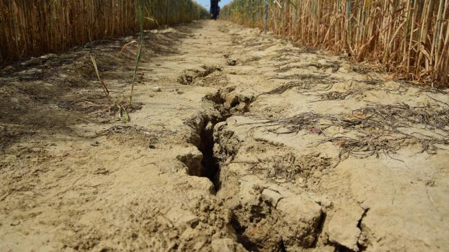 De uiterste indieningstermijn van de tegemoetkomingsaanvraag is 31 januari 2018.