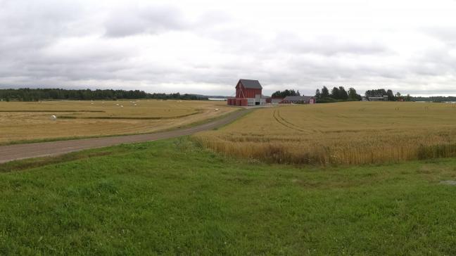 Zo zag een gemiddelde zomerdag er dit jaar uit in Finland: uitzonderlijk koud en regenachtig.