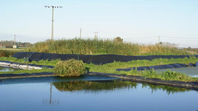 Kringlooplandbouw moet onder meer mestoverschotten voorkomen.